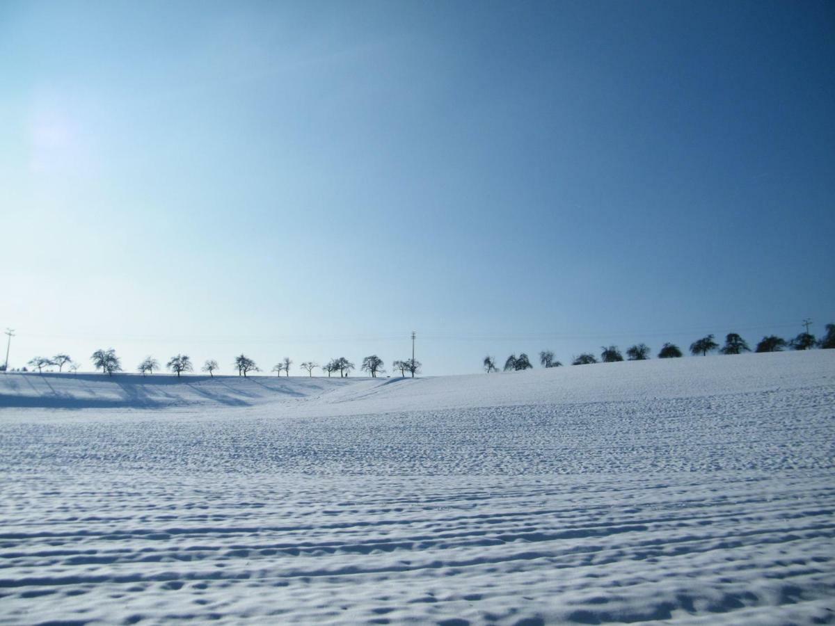 Neukirchen  Ferien Vom Ich, Bayerischer Wald, Hotel & Restaurant מראה חיצוני תמונה